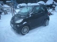 Smart For Two