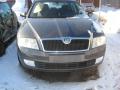 Kuva 1: Skoda Octavia 1.9tdi farkku 2007