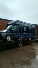 Peugeot Boxer hevosauto 3,0D -11