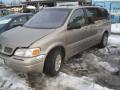 Kuva 1: Chevrolet Trans Sport 34 -99 beige 1999