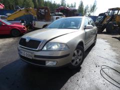 Skoda Octavia Combi (1Z5) 2.0 TDI 16V 2006 