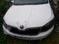 Kuva 1: Skoda Fabia 15->> 2018