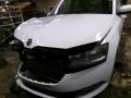 Skoda Fabia 1.0 TSI