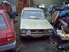 Datsun 100