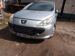 Peugeot 307 1,6 -07 hopea 5-ov HB