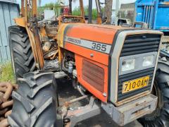 Massey Ferguson 365