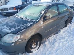 Toyota Corolla 2.0 D4D LINEA TERRA (NMT)