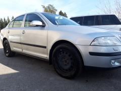 Skoda Octavia II 1.9 TDI / BXE