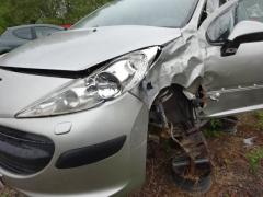 Peugeot 207 1.4