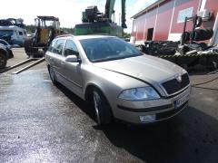Skoda Octavia Combi (1Z5) 2.0 TDI 16V 2006 