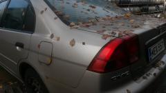 Honda Civic VII1,6 -01 hopea sedan