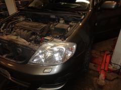 Toyota Corolla 02-07