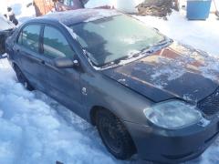 Toyota Corolla 2.0 D4D LINEA TERRA (NMT)