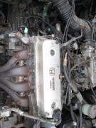 Honda Accord 1.8i
