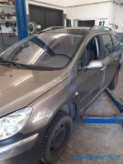 Peugeot 307  1.6 16V farm