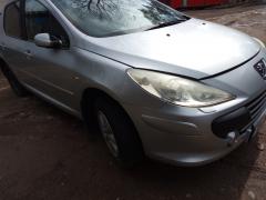 Peugeot 307 1,6 -07 hopea 5-ov HB