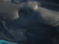Volkswagen Polo 4 D Classic-1,9S