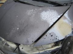 Honda Civic Sport/EXE