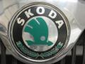 Kuva 3: sleikk ristikko, Skoda Octavia 1,9 TDI 77kW Combi