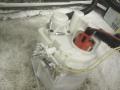 polttoainepumppu sähkö+tankkivaruste 1S7UAF, 60628082 Alfa Romeo 156 2,5V6  sedan- 98 