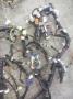johtosarja kojelauta 82131-6B231  Toyota Landcruiser VZJ95  3,4 V6 aut. -99 