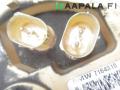 polttoaineruiskupumppu diesel tankista T 6431501990227, 7164315 BMW E71 X6 xDrive 35dA