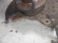 olka-akseli + napa oikea 45110-54810, 43420-50852 Suzuki Liana 1,6 HB 4x4 -06