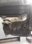 moottori bensiini 2,0RFX 0135R3, 0139F4, 0130M6 Peugeot 306 2,0ST sedan  -95 