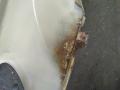 lokasuoja etu oikea  Kia Cerato 1.6 -05 Hatchback FE2422/261
