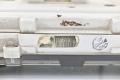 mittaristo täydellinen  Toyota Hiace V Umpikori 2.5 D-4D 4WD 2008 117hv
