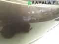 takaluukku  Renault Scénic