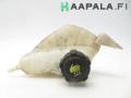 paisuntasili