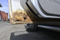 vasen takaovi  Ford RANGER PICKUP-2.5TD DOUBLE CAB-XLT-5-LMFE4-4X4/300 