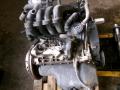 moottori bensiini  Volkswagen Polo 1.4