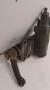ohjausvaihde, tehostettu 49200-06J00 Nissan Patrol GR  5D 2,8TD 