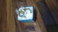 rele abs  Toyota RAV4 (XA20) 00-06
