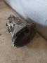 vaihdelaatikko 5-vaihdetta 5-speed gearbox S5D 250G - TBDU BMW 1 E87/81 116i