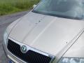 Kuva 1: konepelti, Skoda Octavia 2.0FSI sedan-05