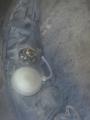 ajovalo oikea 0301197202  Mercedes-Benz A 150-200 (W169) 04-12
