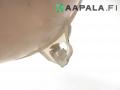 paisuntasäiliö 5Q0 121 407 H, 5Q0 121 407 P Volkswagen Passat (3G2) 1.4 GTE Sed
