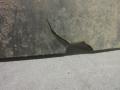 muut korin osat 7H0 825 210 E Volkswagen Trp T5 2.5 TDI 4motion 96 kW