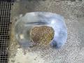 lokasuoja sisä oikea etu 4M51-16114-AA Ford C-Max 2.0 TDCi -09