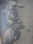 ajovalo oikea  Nissan Almera (N16) 00-07