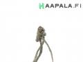 parkkitutka 4kpl 1S0919275, 1S0919275C Audi A6 (4G) 2.0 TFSI Farm