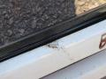 säleikkö täydellinen  Peugeot Boxer