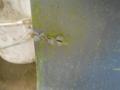 oikea etuovi  Mitsubishi Galant 2,0 aut. farm. -99