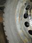 rengassarja talvi (nasta)  Mitsubishi Colt 04-08