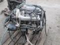 moottori bensiini   Nissan Maxima 3,0 V6 24V aut. 