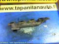 Pakosarja  Mb sprinter (w906) 06->>