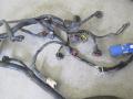ruiskutuksen ohjausyksikön johtosarja Nissan 240111N400 Nissan Almera 1.6 16v